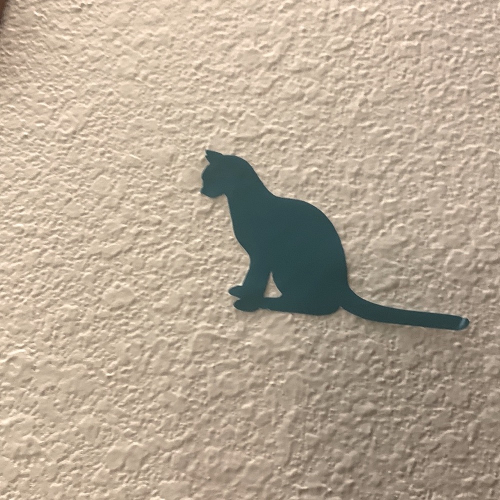 Turquoise cat
